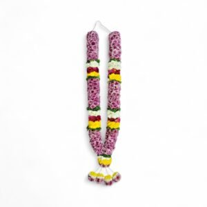 Purple Chrysanthemum With White, Yellow & Green Bo