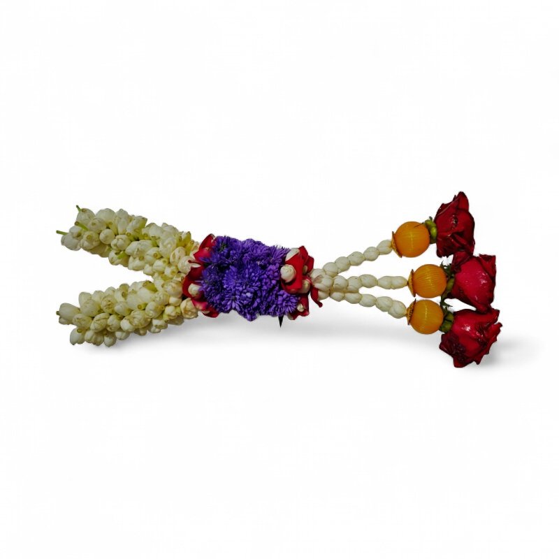 Nandhavanam Jasmine with Purple Daisy Border - 1. Nandhavanam Jasmine with Purple Daisy Border - 1.