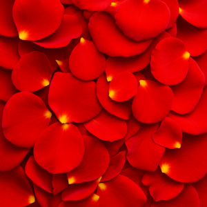 Mirabel Rose Petals - 100gms