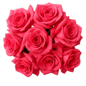 Pink Rose Flower - 250gms