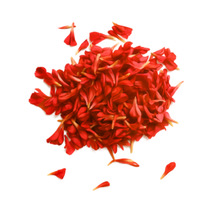 Red Oleander Flower - 250gms