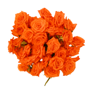 Orange Rose Flowers - 250gms