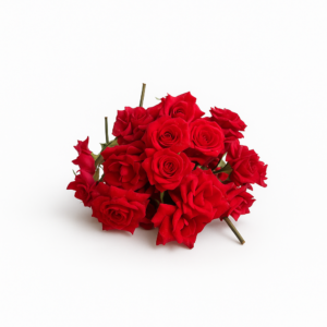 Mirabel Rose Flowers - 250gm