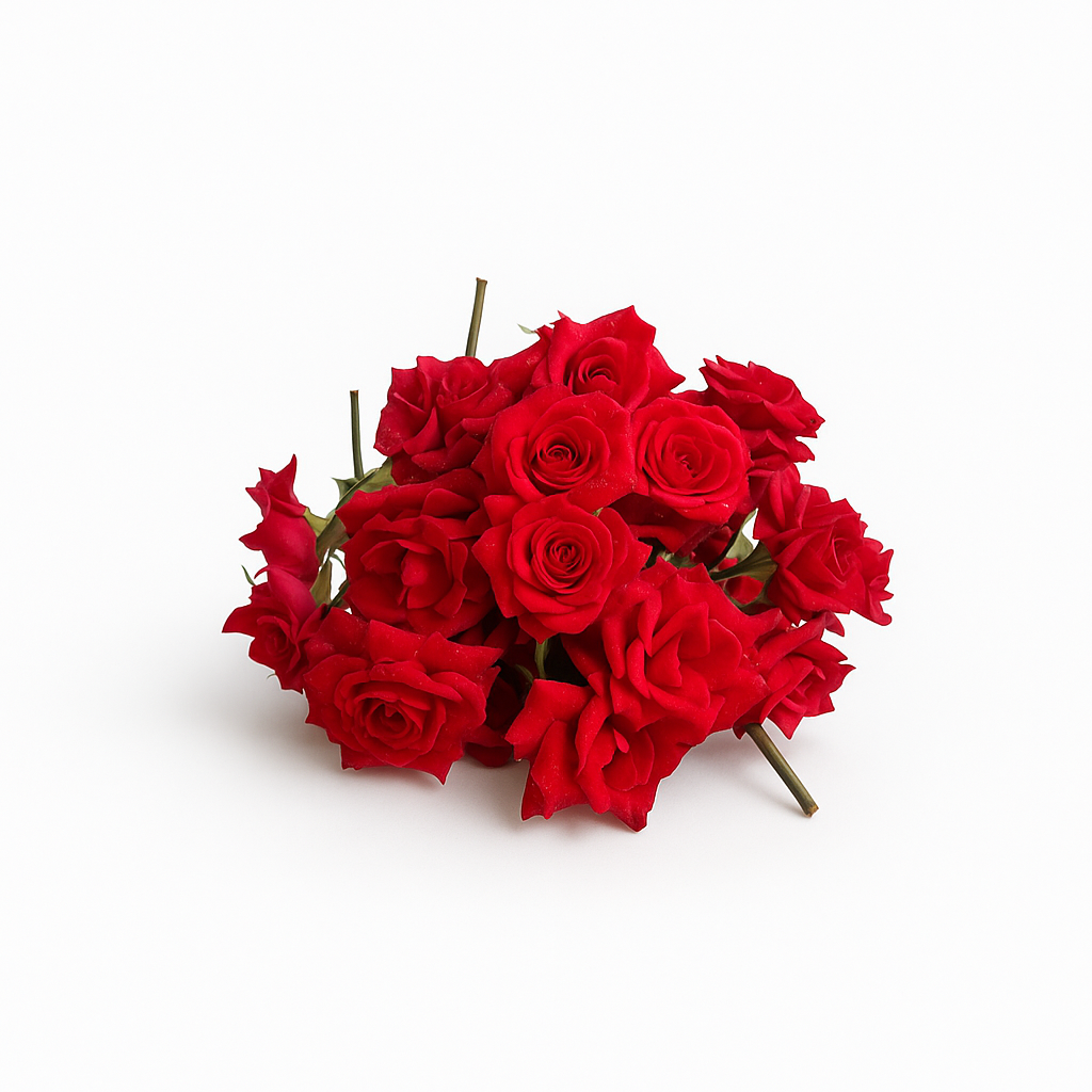 Mirabel Rose Flowers - 250gm