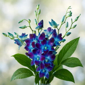 Orchids- 2 Stems