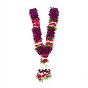 Aster Maroon Garland with pink, white, and green borders, perfect for pooja and spiritual celebrations, 1.5 feet long.