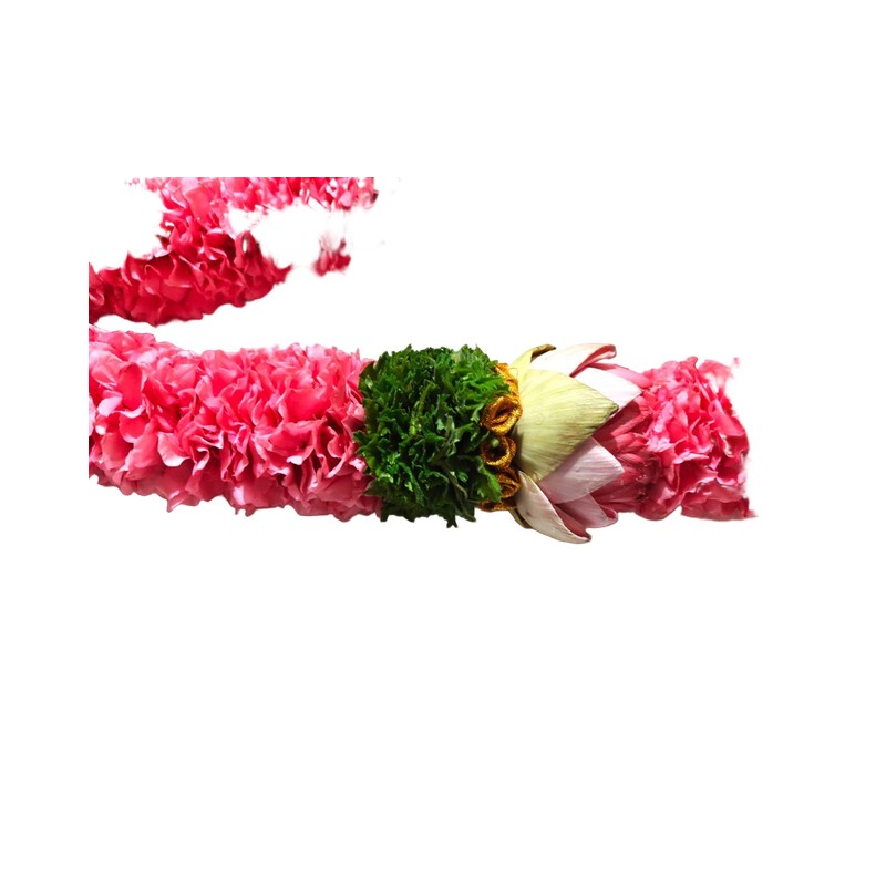 0ff7e681-72dd-4cdc-a48e-cf98c7f5cb68_studio