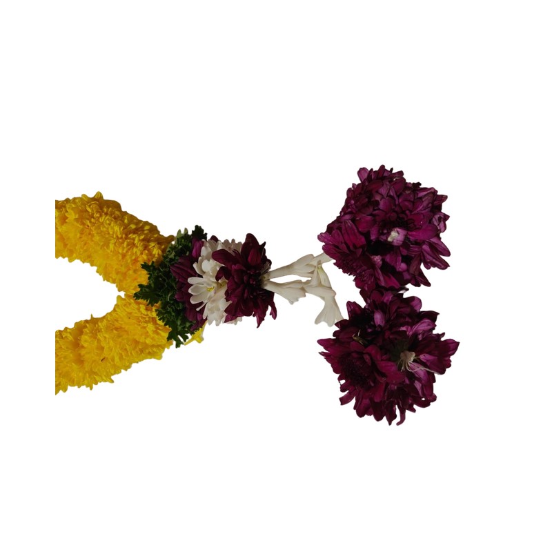 cdee28f5-26e5-416b-98b9-bbdc7754005a_studio